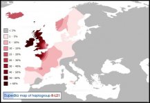 Haplogroup-R1b-L21.jpg