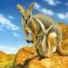 Celtic Wallaby