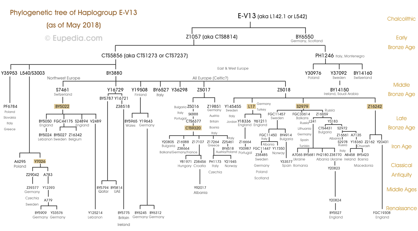 Phylogenetischer Baum der Haplogruppe E-V13 (Y-DNA) - Eupedia