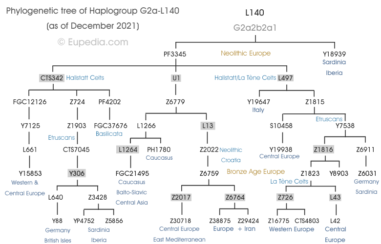 Филогенетско стабло хаплогрупе G2a-L140 (Y-DNA) - Eupedia