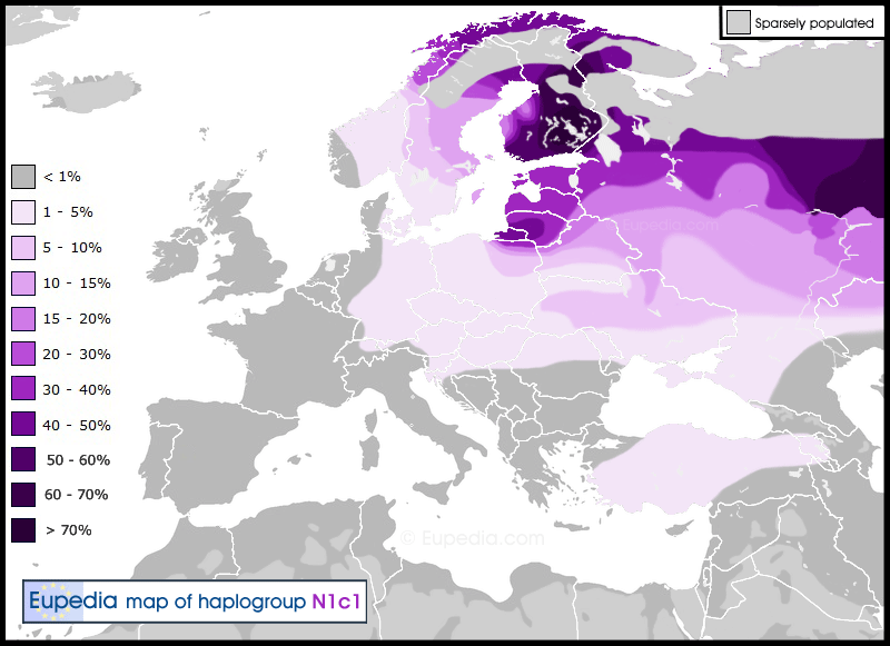 Distribution of haplogroup N1c1 in Europe