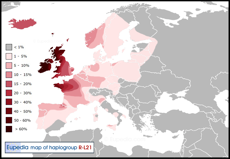 Distribution map of haplogroup R1b-L21 (S145) in Europe