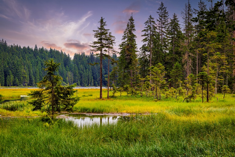 Big Arbersee in the Bavarian Forest National Park (© Waupee | Dreamstime.com) Big Arbersee in the Bavarian Forest National Park (© Waupee | Dreamstime.com)