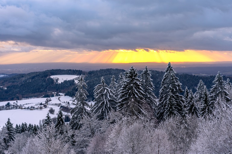 Bavarian Forest National Park in winter (© Thilo Wagner | Dreamstime.com) Bavarian Forest National Park in winter (© Thilo Wagner | Dreamstime.com)