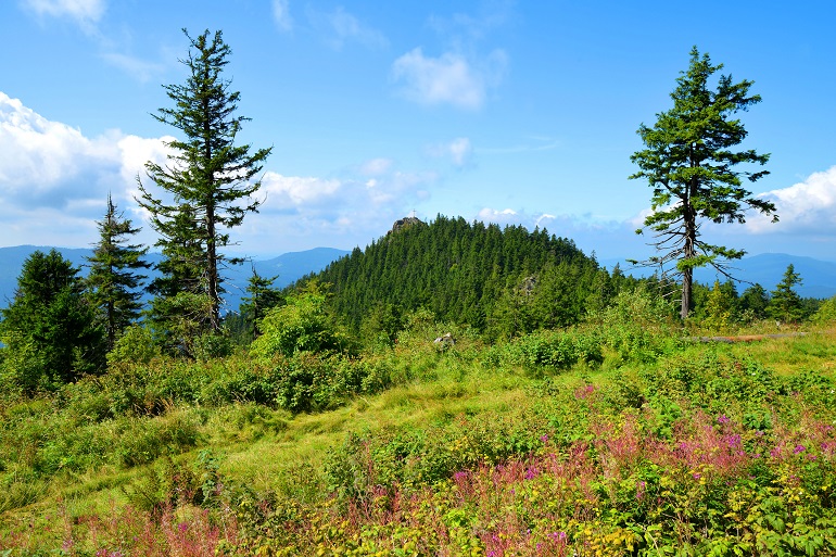 Summer landscape with mountain Klein Osser in the Bavarian Forest National Park (© Vaclav Volrab | Dreamstime.com) Summer landscape with mountain Klein Osser in the Bavarian Forest National Park (© Vaclav Volrab | Dreamstime.com)