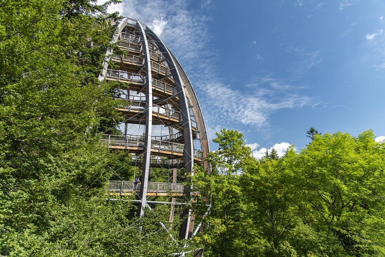 Tree Top Walk, Bavarian Forest National Park (© Precinbe | Dreamstime.com) Tree Top Walk, Bavarian Forest National Park (© Precinbe | Dreamstime.com)
