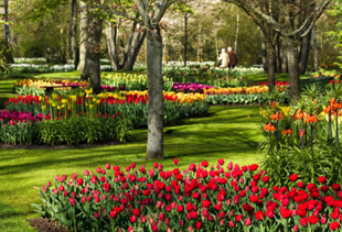 Keukenhof Gardens (&copy; Nicole Aletta Planken-Kooij | iStockphoto.com)