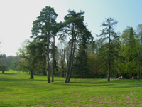 Park of the castle of Monceau-sur-Sambre, Charleroi