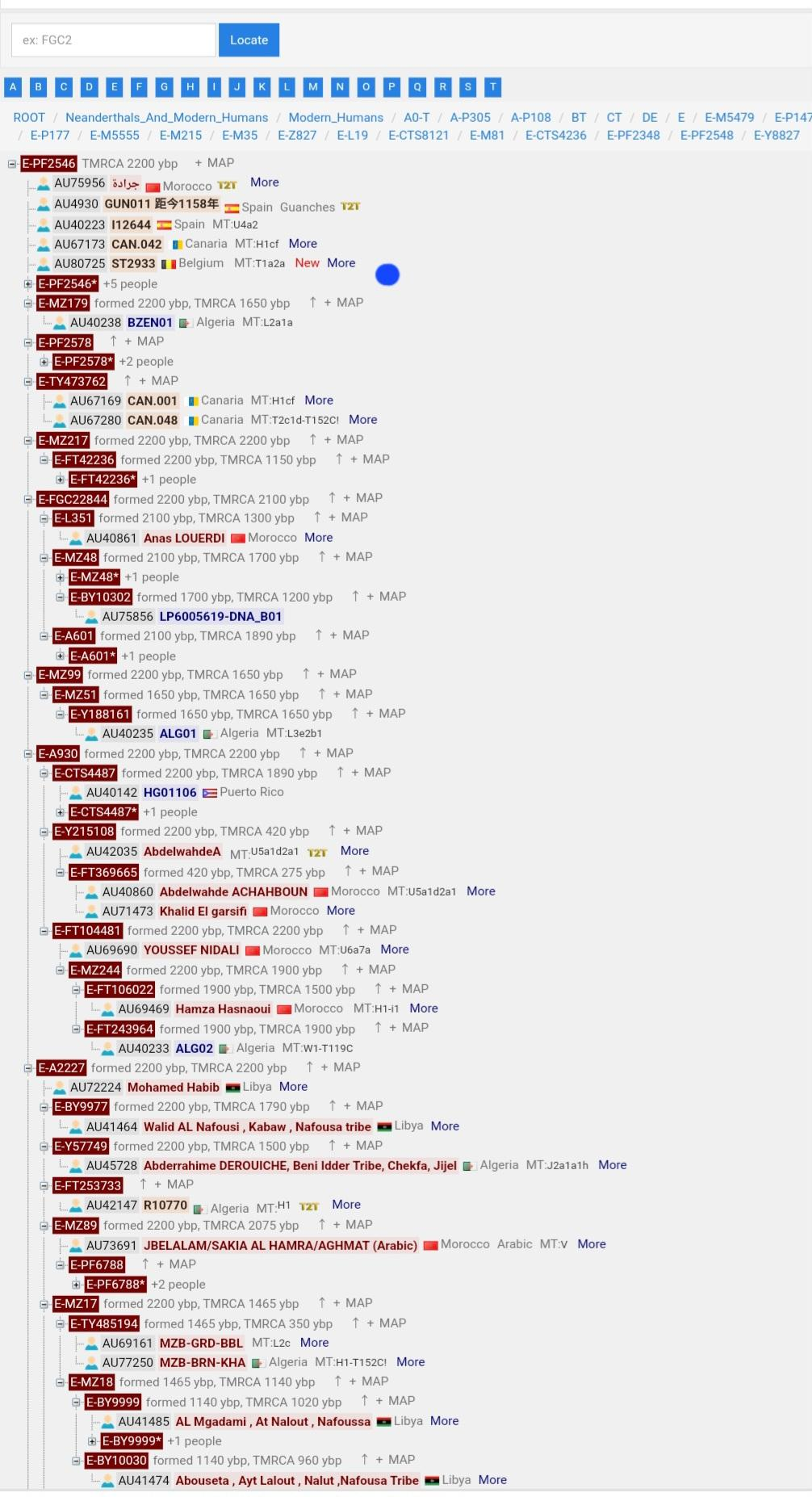 1747764667438.png