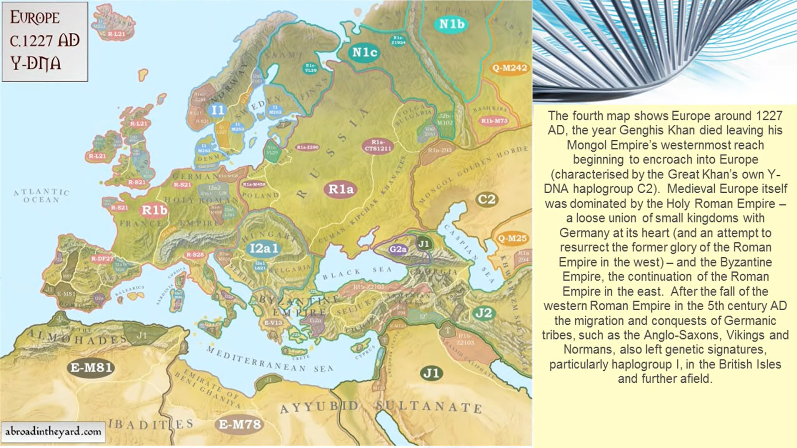 1d_1227AD.png