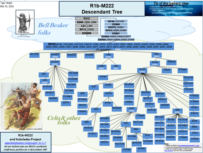 2021-03-29-08_13_00-Window.png