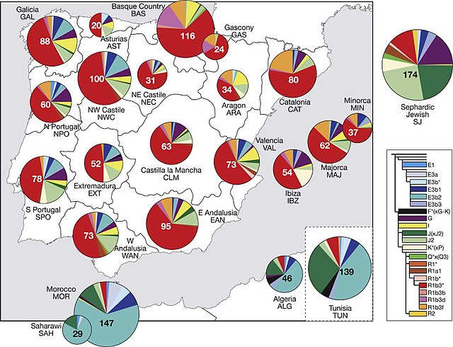640px-Y-Chromosome_Haplogroup_Distributions_in_Iberian,_North_African,_and_Sephardic_Jewish_Po...jpg