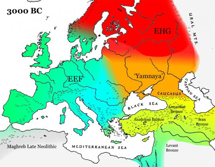 C3000-BC-gene-map-s.jpg