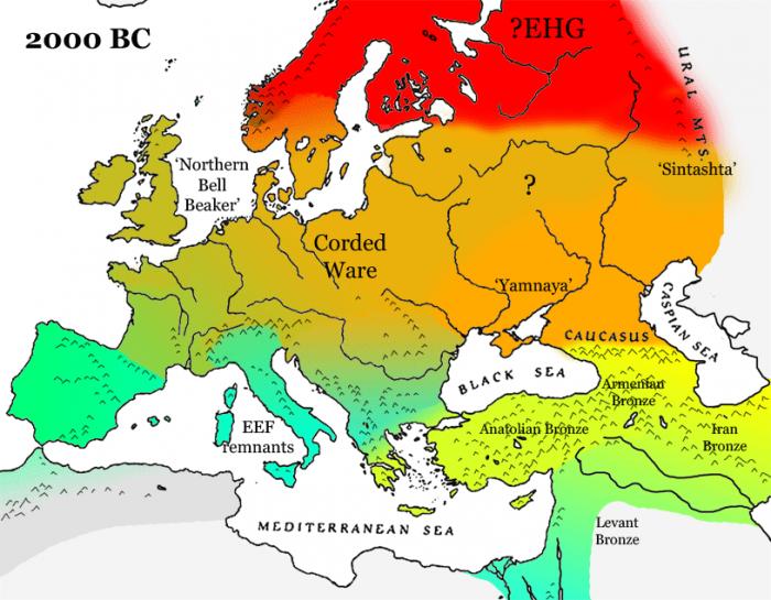 D2000-BC-gene-map-s-1.jpg