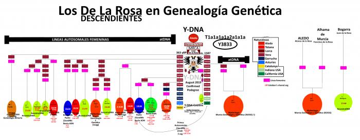 Juan De la Rosa Y-DNA Confirmed VII.jpg