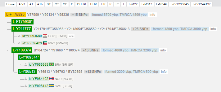 L-Y109374.png