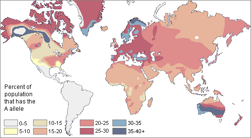 map_of_A_blood_allele.gif