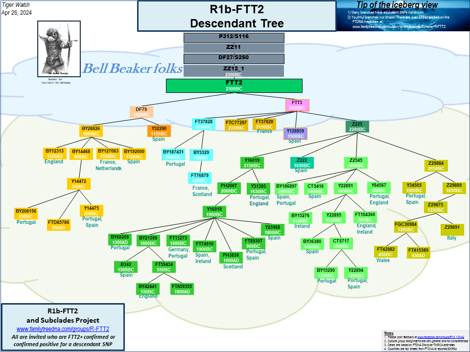 R1b-FTT2_Descendant_Tree.png