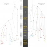 timeline_comparison.jpg