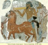 Tomb_of_Sobekhotep_3.jpg