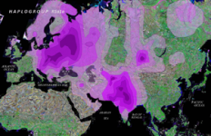 300px-R1a1a_distribution.png