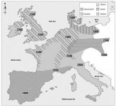 campaniforme.jpg campaniforme.jpg