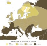 blond_hair_map1.jpg