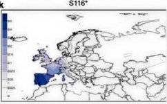 s116.jpg