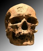 300px-Cro-Magnon.jpg