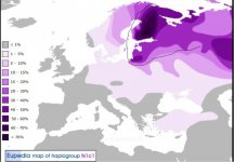 n1c1.jpg