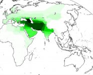 west asian aust. DNA.jpg west asian aust. DNA.jpg