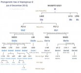 I2-tree.jpg