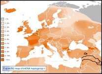 mtDNA-K-map.jpg