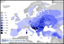 Haplogroup_I2a.jpg Haplogroup_I2a.jpg