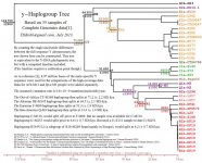 1000 genomes tree 2.jpg