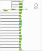 Haplogroup Tree.jpg