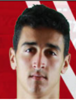 photo kind of mediterranean bone structure 3 por.PNG