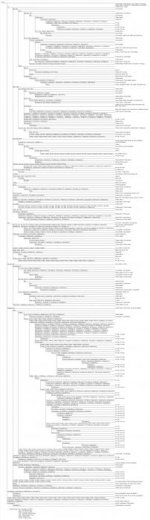 U152_Tree_2014-09-12.jpg