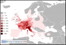 Haplogroup-R1b-S28.jpg Haplogroup-R1b-S28.jpg