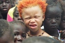 african.jpg african.jpg