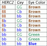 EyeColorChart2.gif EyeColorChart2.gif