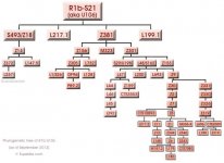 R1b-S21-tree.jpg