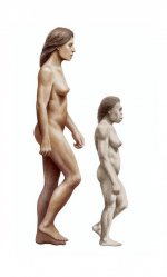 modern-human-and-homo-floresiensis-mauricio-anton.jpg