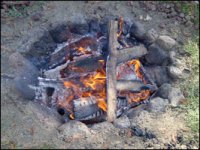pit oven burning wood.jpg