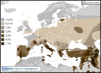 Haplogroup-T.jpg