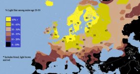 europe-hair0223--light-h.jpg