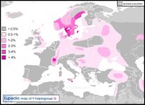 Haplogroup-Q.jpg