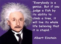 AlbertEinstein-Quotes Believe  Ability.jpg