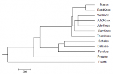small cts8862 tree.png small cts8862 tree.png