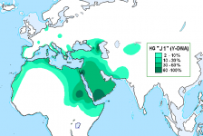 HG_J1_(ADN-Y).PNG HG_J1_(ADN-Y).PNG